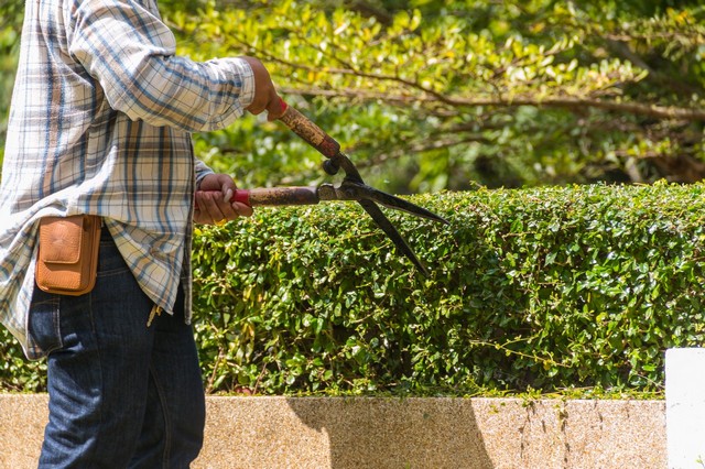 Garden Maintenance Moorgate, Liverpool Street, EC2